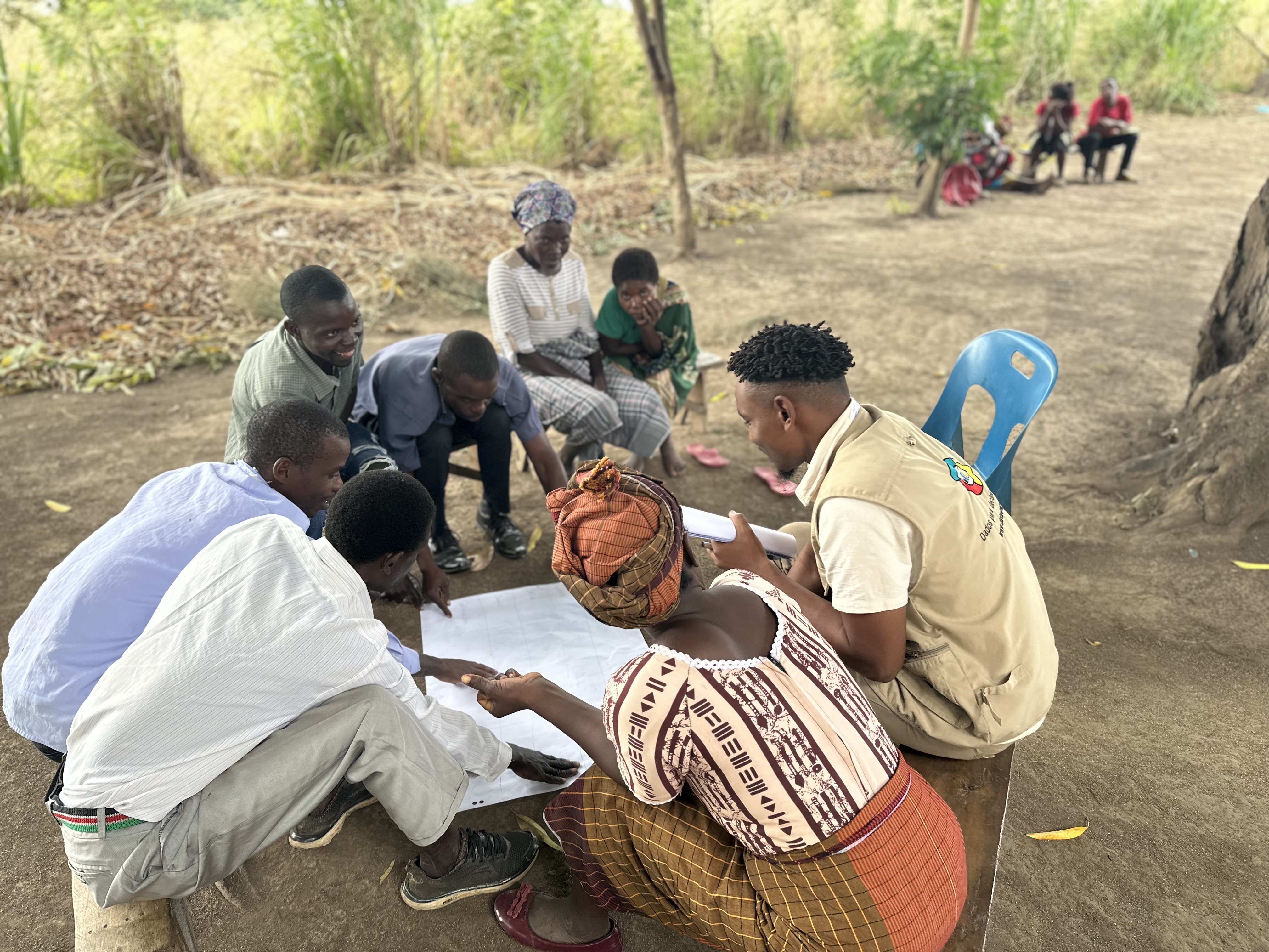 Land Use Intensity's Potential, Vulnerability and Resilience for Sustainable Agriculture in Africa (LUISA) - Image 3